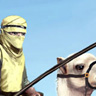 Camel Rider